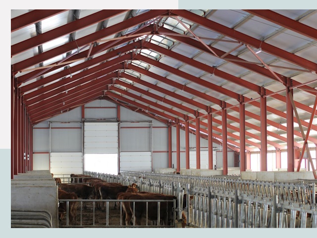 Строительство коровников в Астрахани