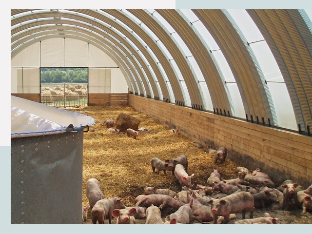 Строительство свинарников в Астрахани